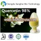 High Quality Natural Herbal Extracts Quercetin Dihydrate95%/98%