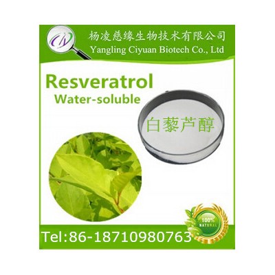 Pure Natural Hot Sale High Quality Factory Supply Resveratrol Extraction