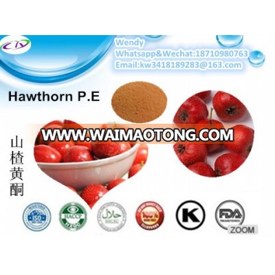 Pure Organic Fruit Low Price 40% Hawthorn Flavones Powder