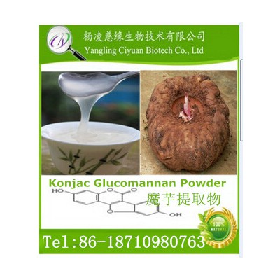 Top Quality Factory Supply Konjac Glucomannan and Konjac Powder